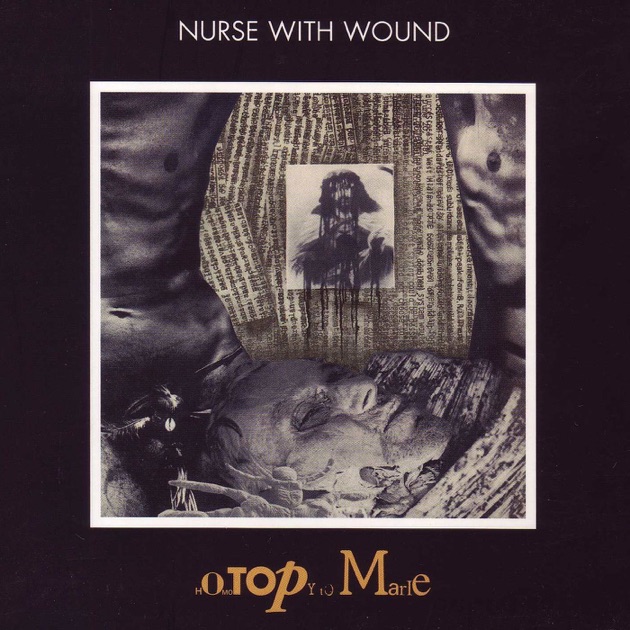 はじめての Nurse With Wound -プレイリスト - Apple Music