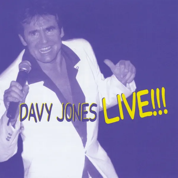 Bright Side Of The Road — Davy Jones