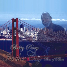 Accoustic Guitar Jam Bobby Perry