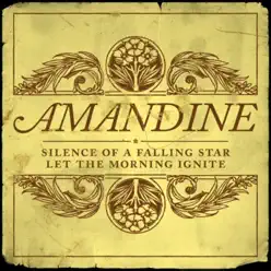Silence of a Falling Star - Single - Amandine Silence of a Falling Star - Single - Amandine