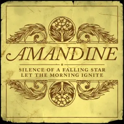 Silence of a Falling Star - Single - Amandine