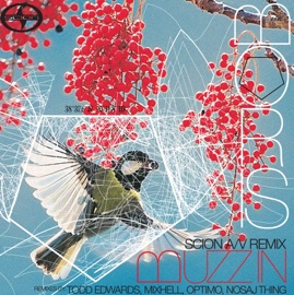 Buzz In (Nosaj Thing Remix) Boris