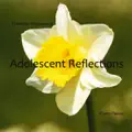 Song of Consolation
