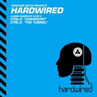 Hardwired Album Sampler 4 - Single - Ctrl-Z