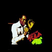 Fela Kuti - Go Slow