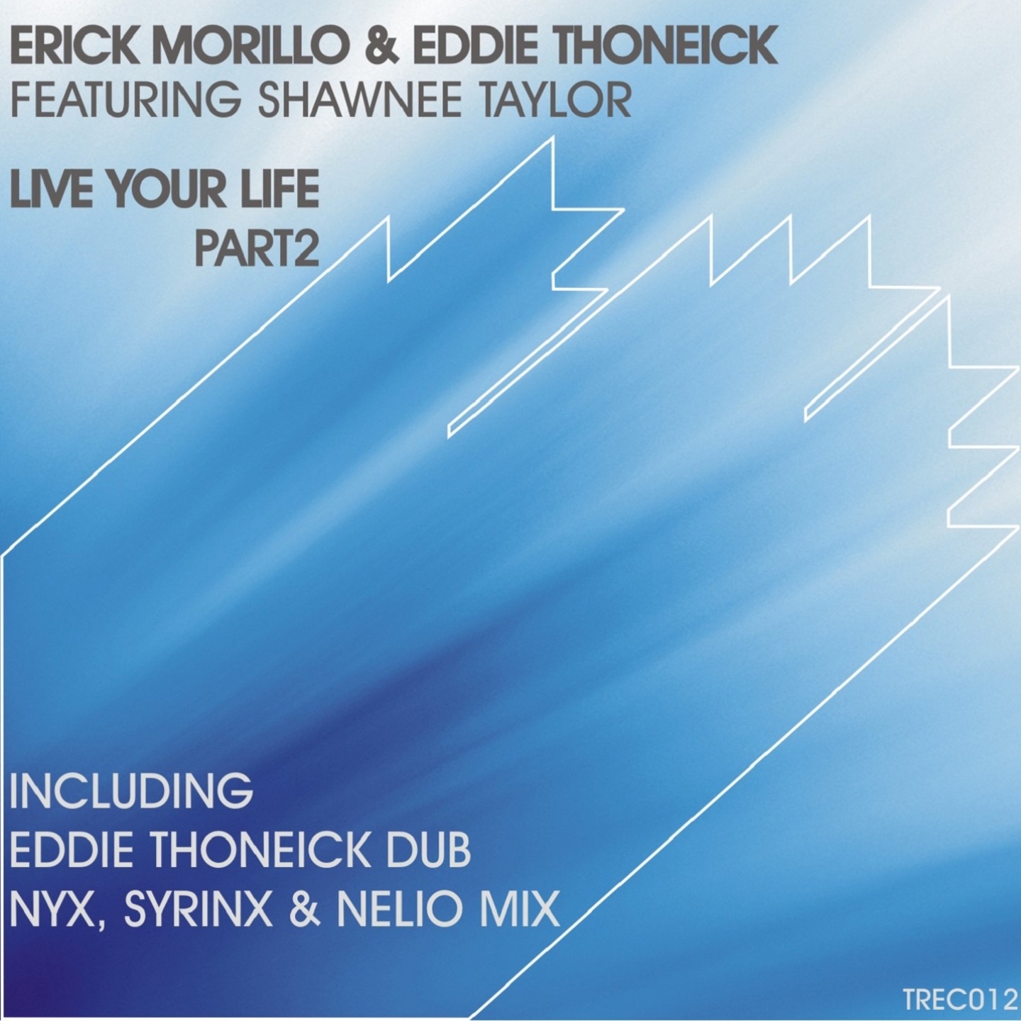 Live Your Live (feat. Shawnee Taylor) [Eddie Thoneick Dub]
