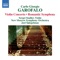 Romantic Symphony: II. Andante - Joel Spiegelman & New Moscow Symphony Orchestra lyrics