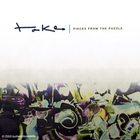 Pieces from the Puzzle - Take