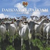 Dahoam is dahoam (Original Soundtrack)