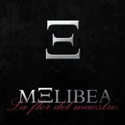 La Flor Del Maestro - Melibea