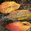 Into Orbit (extended album mix)