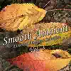 Into Orbit (extended album mix)