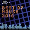 Best of House 2010