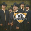 Potro Norteño - Sin Fortuna