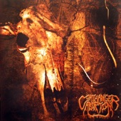 Coathanger Abortion - Down the Unknown