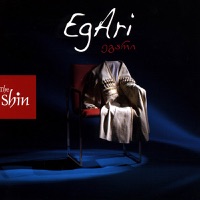 The Shin - Take This Morning