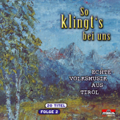 So klingt's bei uns - Echte Volksmusik aus Tirol, Folge 2 - Various Artists
