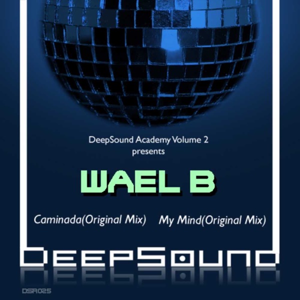 DeepSound Academy Volume 2 - EP
