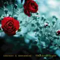 Where the wild Roses Grow