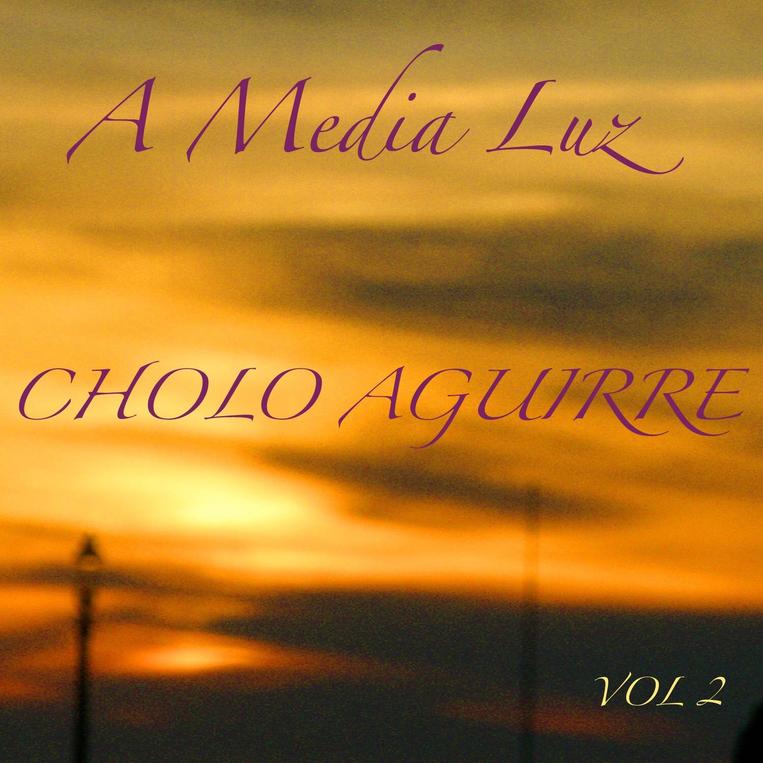 A Media Luz Cholo Aguirre Volume 2