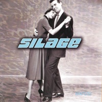 Silage - Watusi