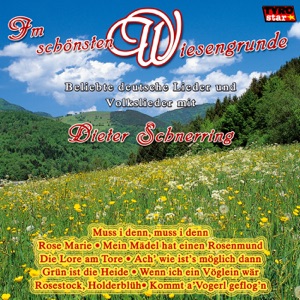 Im schönsten Wiesengrunde