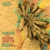 Nadirah Shakoor & Osunlade - Pride