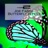 Butterfly Effect