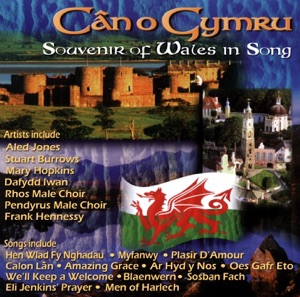 Dafydd Y Garreg Wen