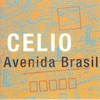 Celio - Samba do Avião