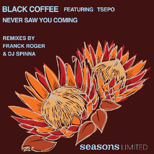 Never Saw You Coming (Original Mix) — Black Coffee