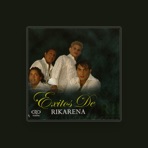 Rikarena