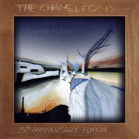 The Chameleons - View from a Hill
