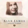 Siân James - Mwynen Merch