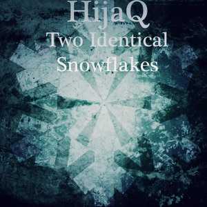 Two Identical Snowflakes - Single