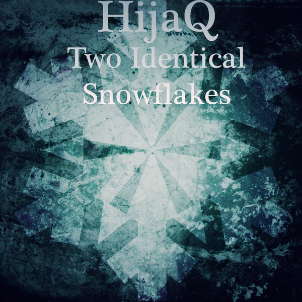 Two Identical Snowflakes - Single