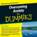 Elaine Iljon Foreman, Charles H. Elliott & Laura L. Smith - Overcoming Anxiety For Dummies Audiobook