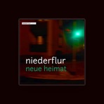 Niederflur
