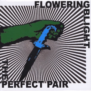 The Perfect Pair