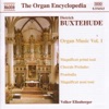 The Organ Encyclopedia - Buxtehude: Organ Music, Vol. 1