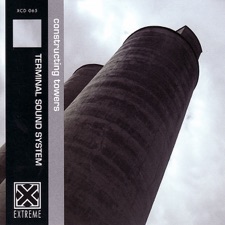 Terminal Sound System - Year of the Pig