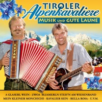 Tiroler Alpenkavaliere - Zwoa Bliamerln steh'n am Wiesenrand