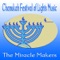 Dreidel - The Miracle Makers lyrics