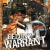 Felony Warrant