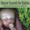 Ocean Waves - Nature Sounds Artists lyrics