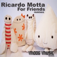 For Friends Remixes - Ricardo Motta