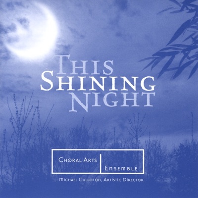 This Shining Night