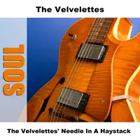 Needle In A Haystack