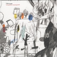 Losing Stones, Collecting Bones - In the Country