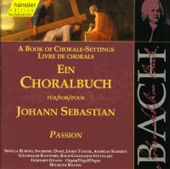 Bach, J.S.: Passion artwork